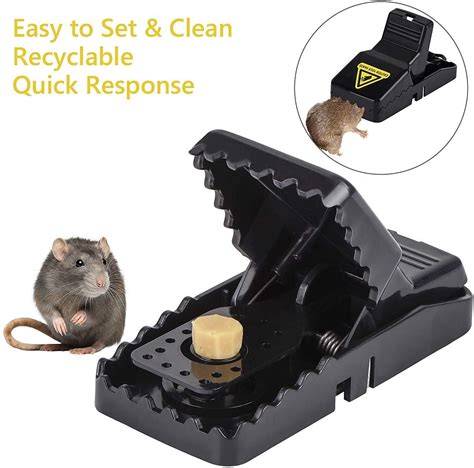 mouse traps that work uk